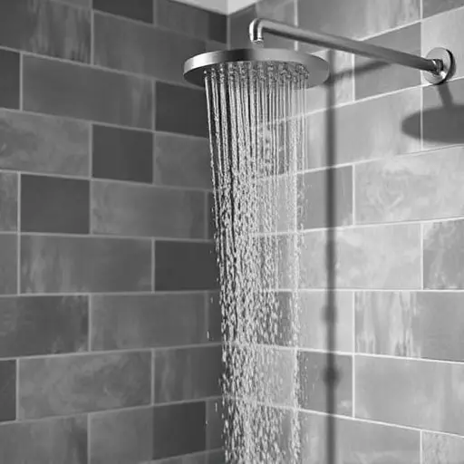 Shower Repair Toledo,Shower repair,Benefits of professional shower repair