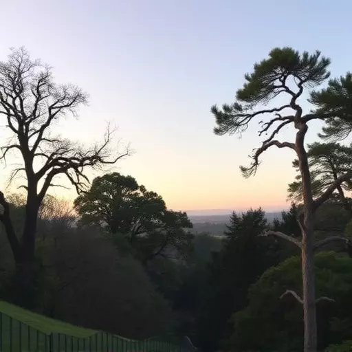 Things to do in Palo Alto California,Palo Alto California attractions,Palo Alto California parks and nature reserves