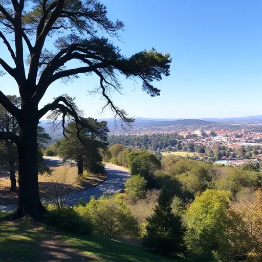 Things to do in Palo Alto California,Palo Alto California attractions,Palo Alto California parks and nature reserves