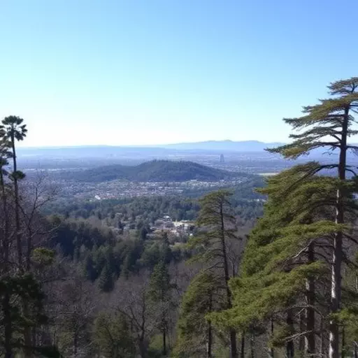 Things to do in Palo Alto California,Palo Alto California attractions,Palo Alto California parks and nature reserves