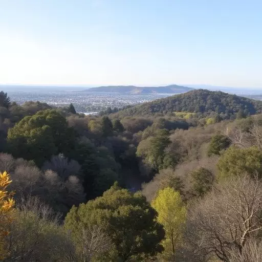 Things to do in Palo Alto California,Palo Alto California attractions,Palo Alto California parks and nature reserves