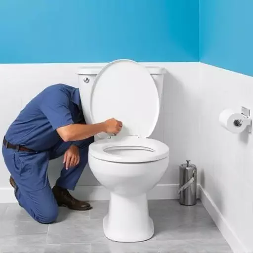 Toilet Repair Experts Toledo,toilet repair techniques,toilet troubleshooting guide