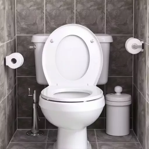 Toilet Repair Experts Toledo,toilet repair techniques,toilet troubleshooting guide