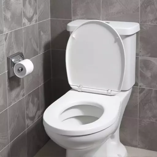 Toilet Repair Experts Toledo,toilet repair techniques,toilet troubleshooting guide