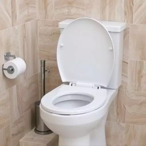 Toilet Repair Experts Toledo,toilet repair techniques,toilet troubleshooting guide