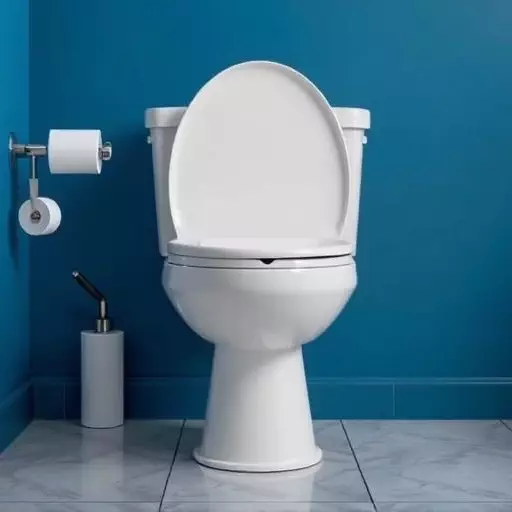 Toilet Repair Experts Toledo,toilet repair techniques,toilet troubleshooting guide