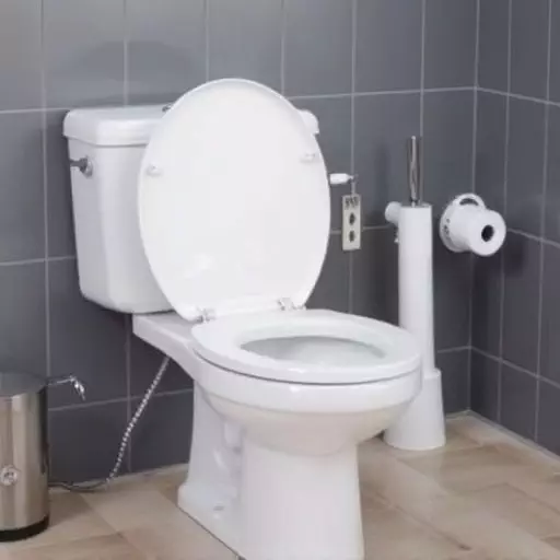 Toilet Repair Experts Toledo,toilet repair techniques,toilet troubleshooting guide