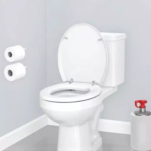 Toilet Repair Experts Toledo,toilet repair techniques,toilet troubleshooting guide