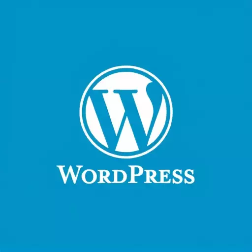 WordPress website designer Toledo,WordPress design services,WordPress plugins for designers