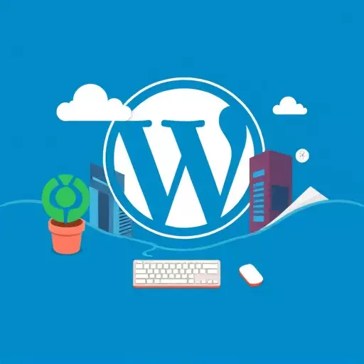 WordPress website designer Toledo,WordPress design services,WordPress plugins for designers
