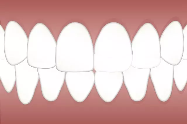 dentist-maumee-ohiodentistgeneral-dentis-640x480-13668691.jpeg
