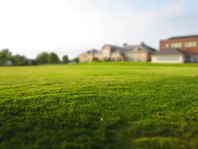 estate-planning-lawyer-palo-alto-califor-640x480-32033506.jpeg
