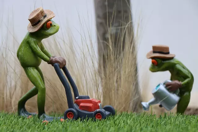lawn-care-640x480-72304956.jpeg