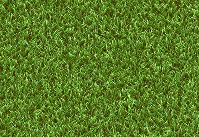 lawn-care-640x480-87064788.jpeg