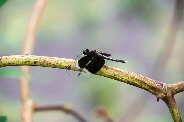 Micro etching process Oak Harbor Ohio,Benefits of micro etching,Micro etching