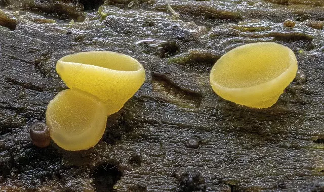 Micro etching process Oak Harbor Ohio,Benefits of micro etching,Micro etching