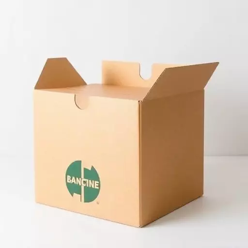 Custom Corrugated Boxes: Optimizing E-commerce Shipping from Holland, Ohio