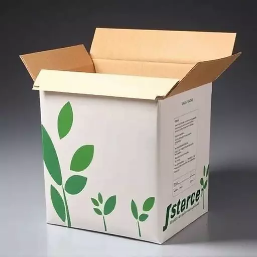 Transparent Packaging: Branding, Innovation, & Sustainability in Custom, Eco-Friendly Containers