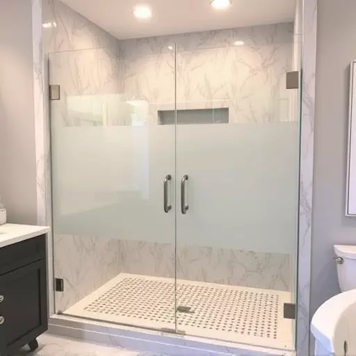 Frameless Showers: Privacy Meets Modern Design in Southfield MI