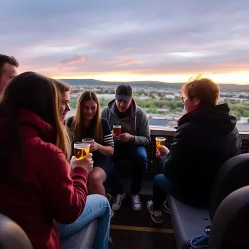 local brewery tours with transportation toledo,private brewery tours with transportation,group brewery tour rides