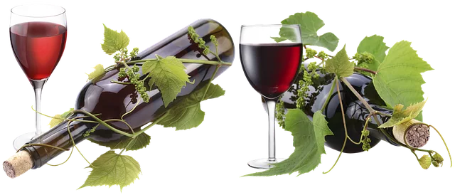 Revolutionize Wine Tours: Safe, Fun Rides & Creative Route Planning in Toledo